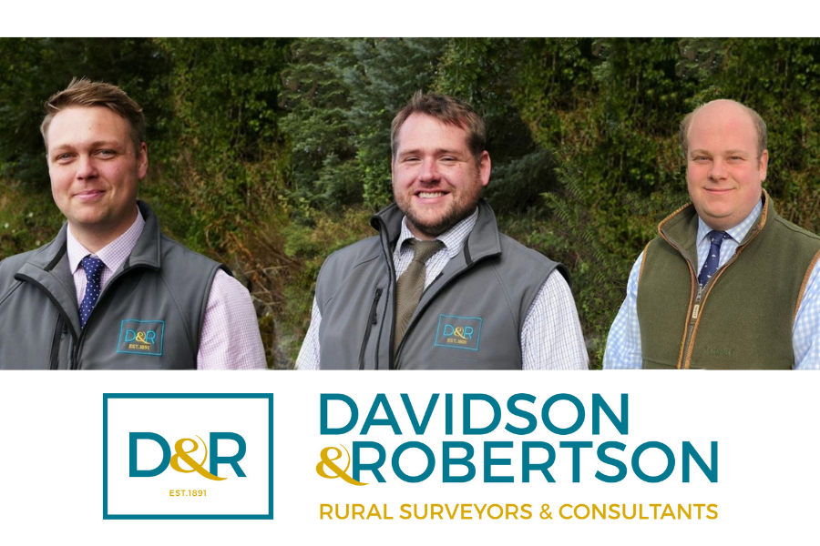 Davidson & Robertson Sales Team