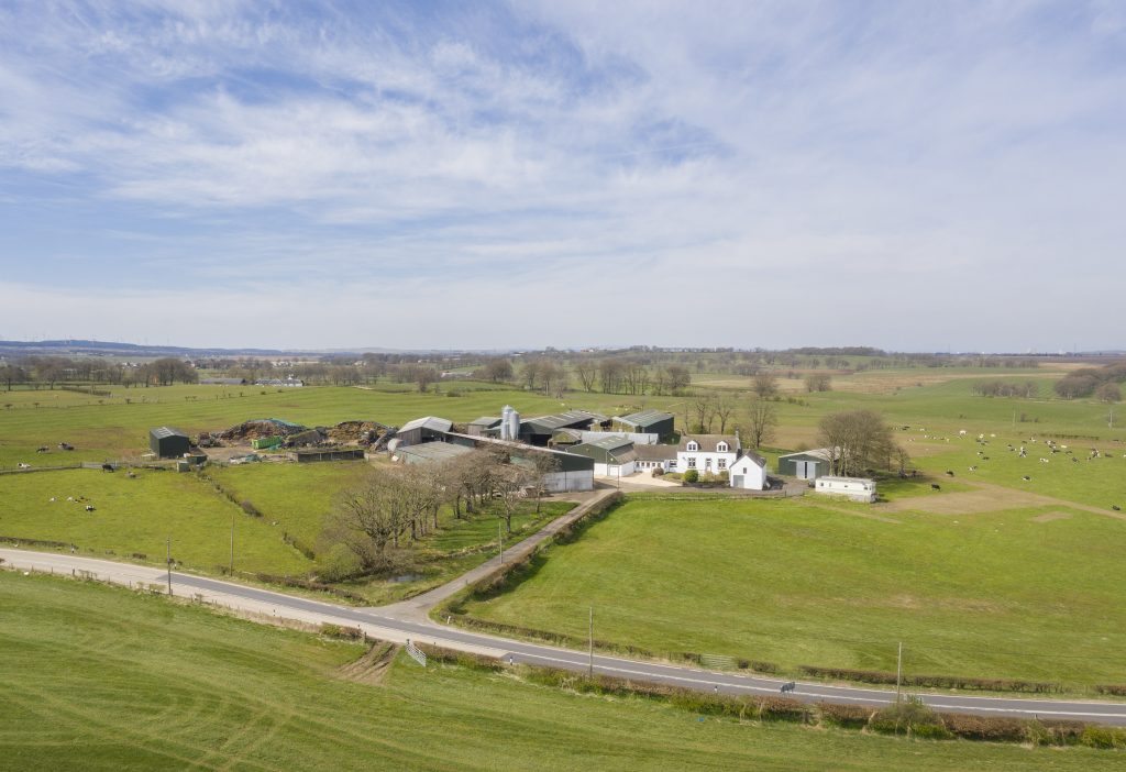 Search results Davidson and Robertson