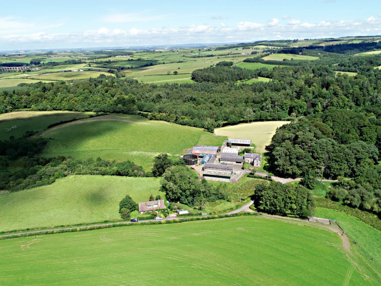 Expansive livestock and arable farm on the market in Dalrymple