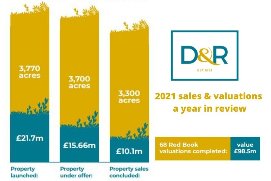 D&R sales review 2021