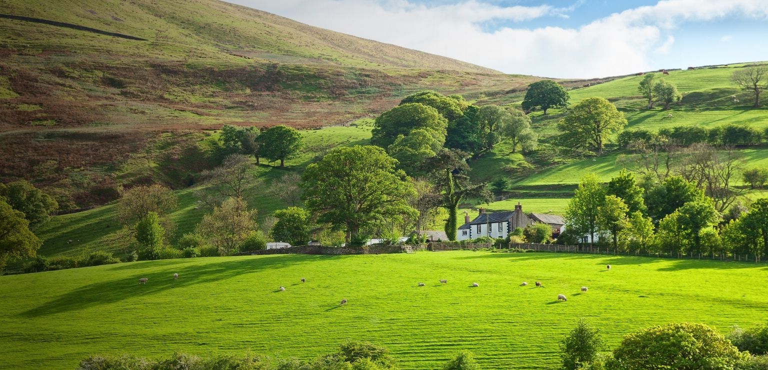 Davidson & Robertson Rural Property Specialists from a farming background