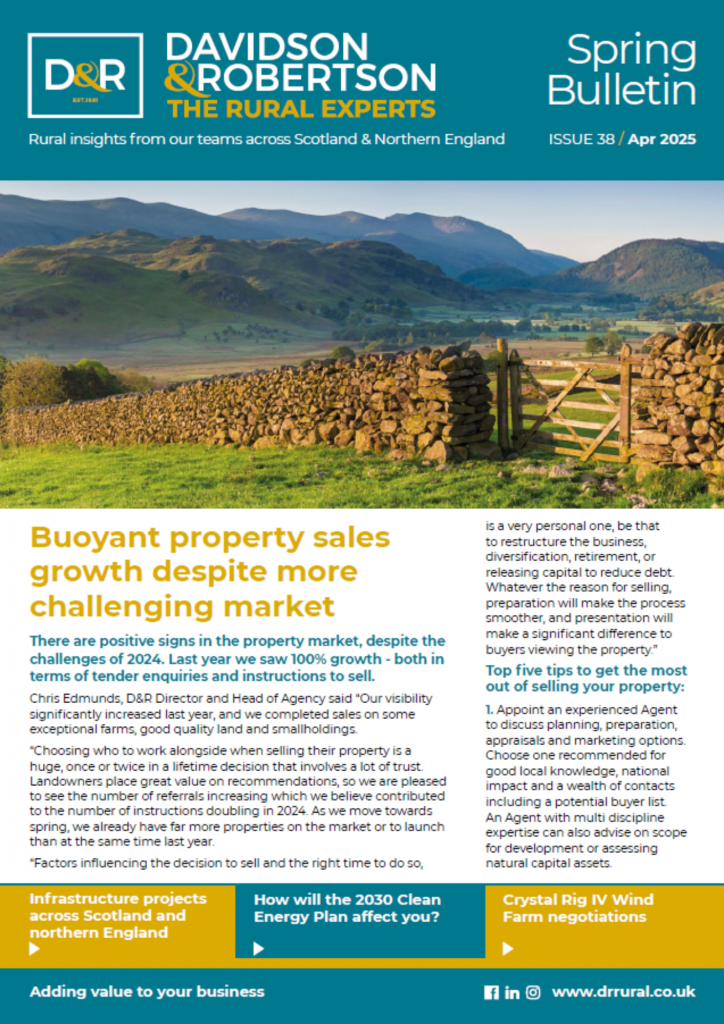 Spring Bulletin ISSUE 38 / Apr 2025 front cover