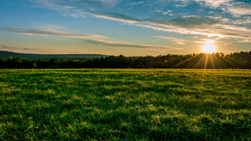 Landowners need to be prepared for the Land Reform Bill