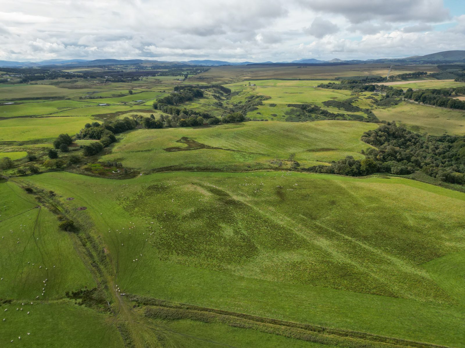 Pomathorn Farm - Image 5