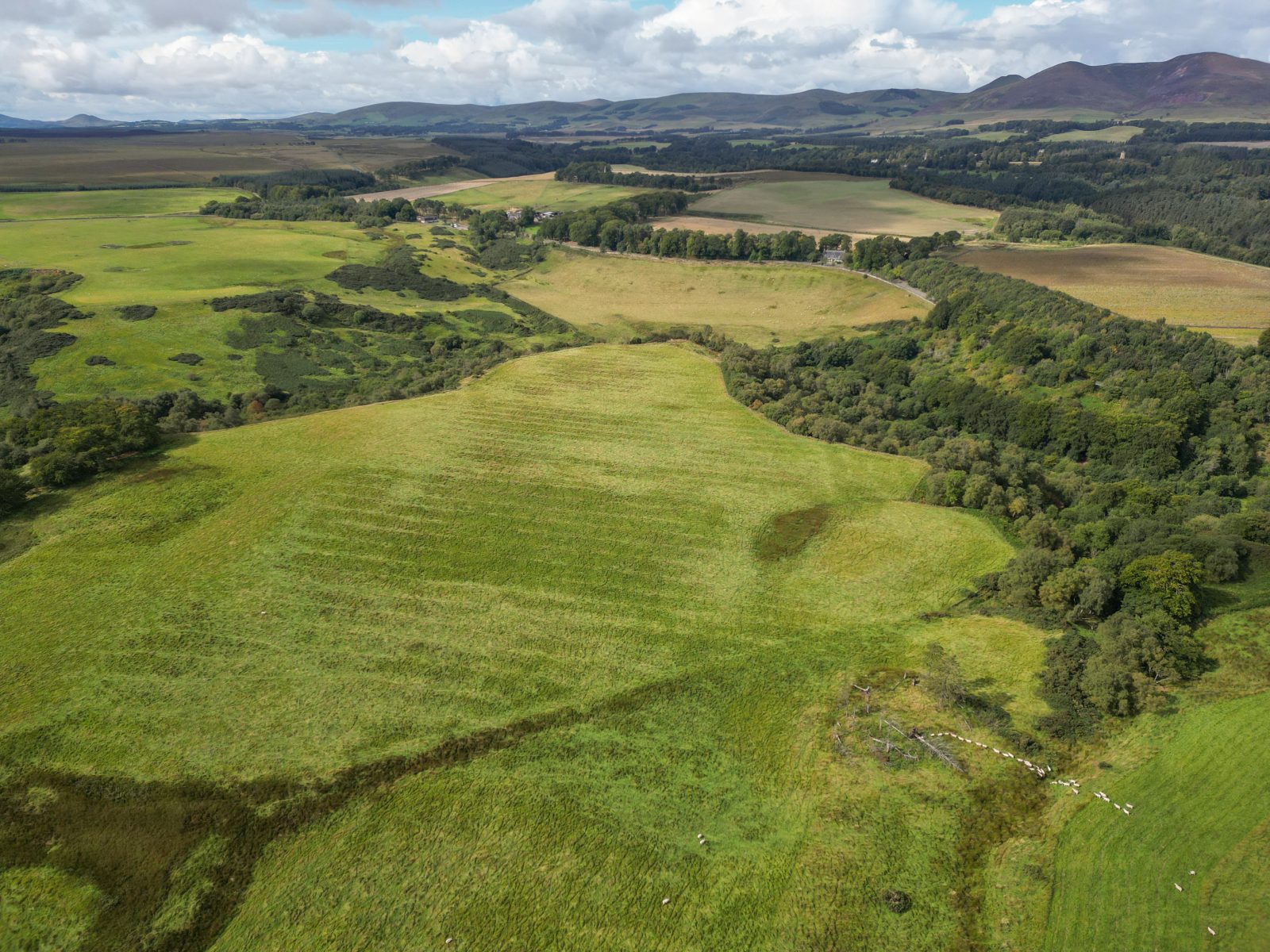 Pomathorn Farm - Image 15