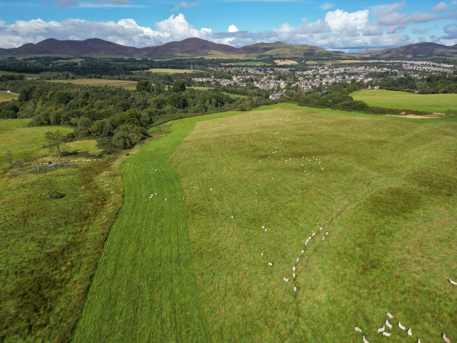 Pomathorn Farm - Image 13