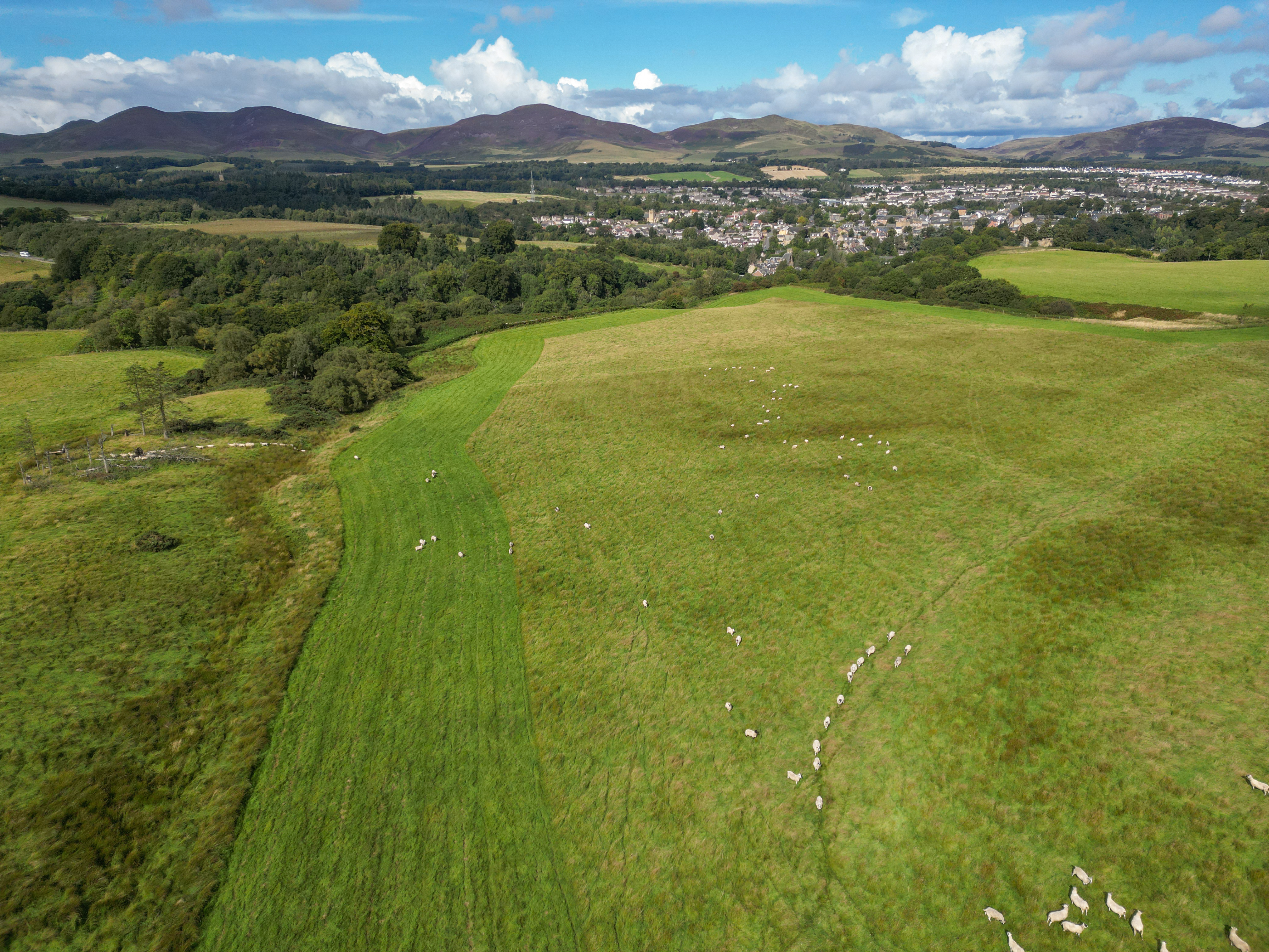 Land At Pomathorn Farm - Image 13