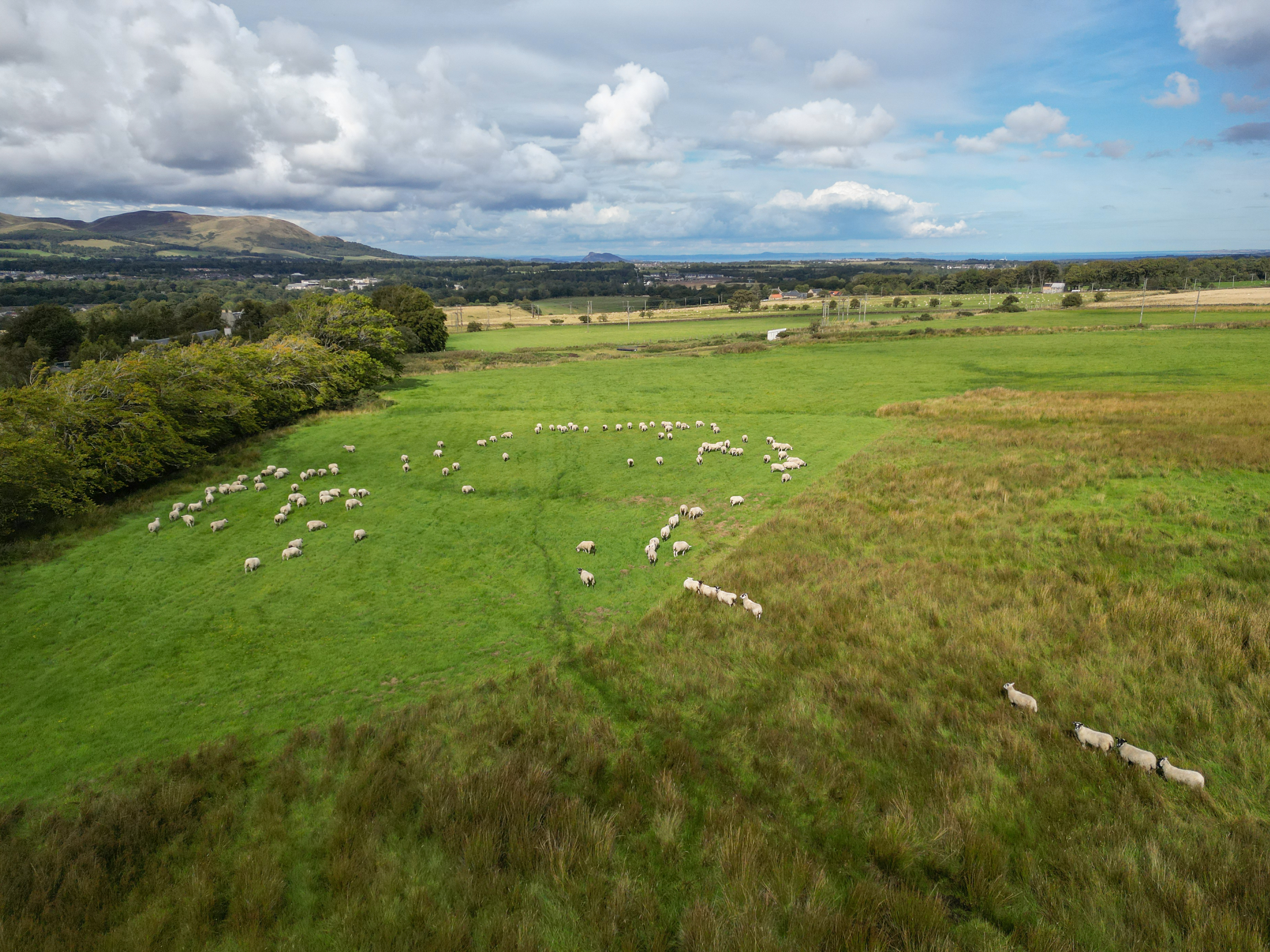 Land At Pomathorn Farm - Image 23