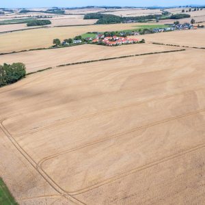 Lawfield Farmland