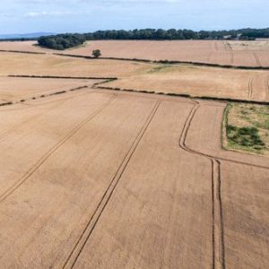 Alternative view of Lawfield Farmland