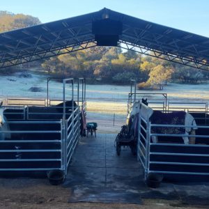 4 stables in Australian property for sale