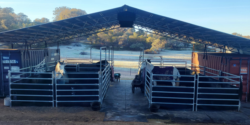4 stables in Australian property for sale