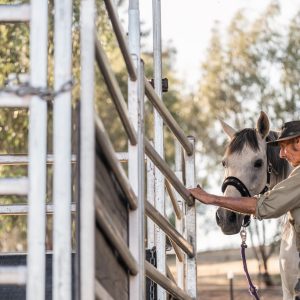 Slate Hill Equestrian for sale