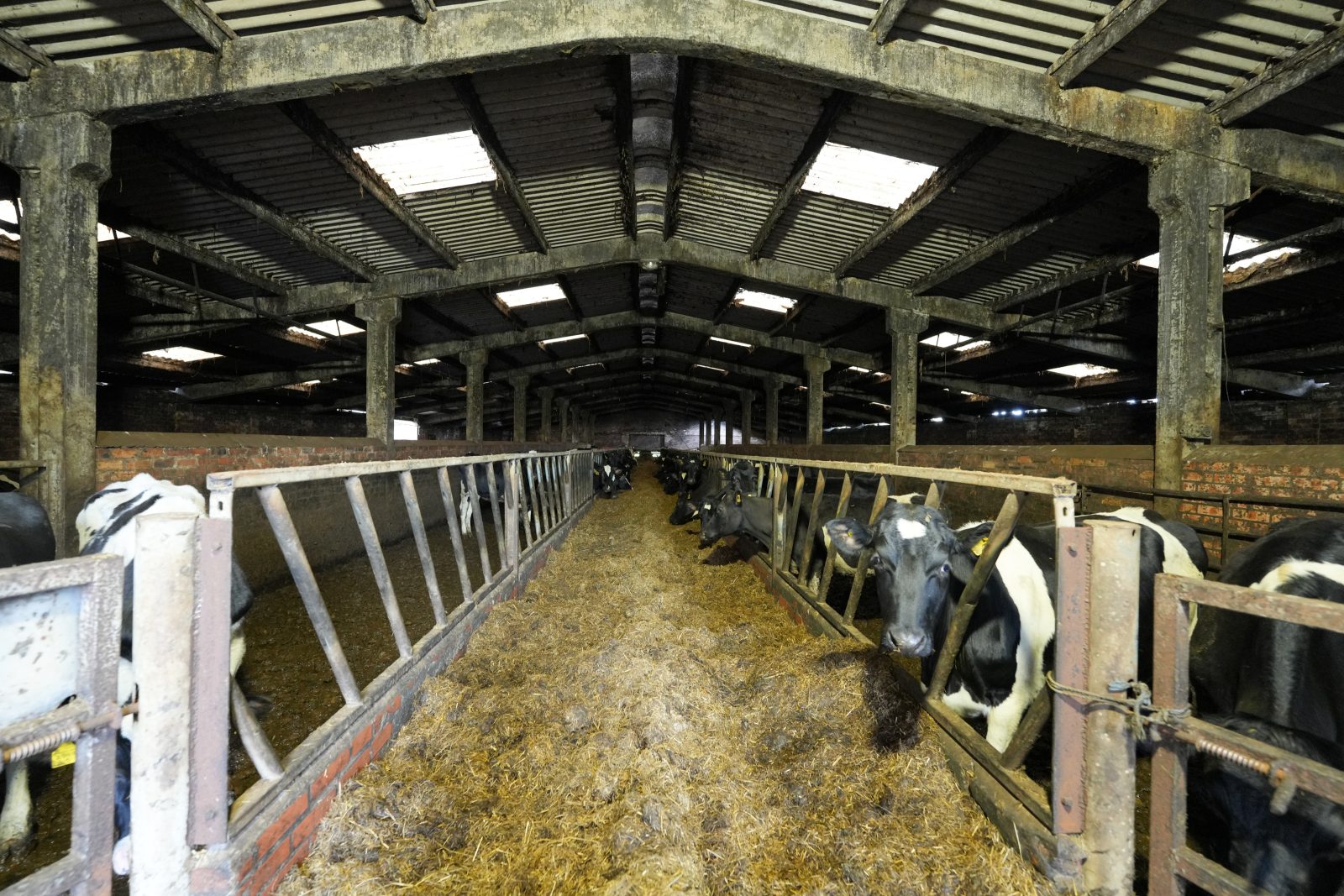 East Mains Farm - Image 12