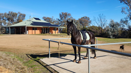 Slate Hill equestrian property for sale in Australia