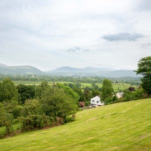 Alternative view of Wychwood