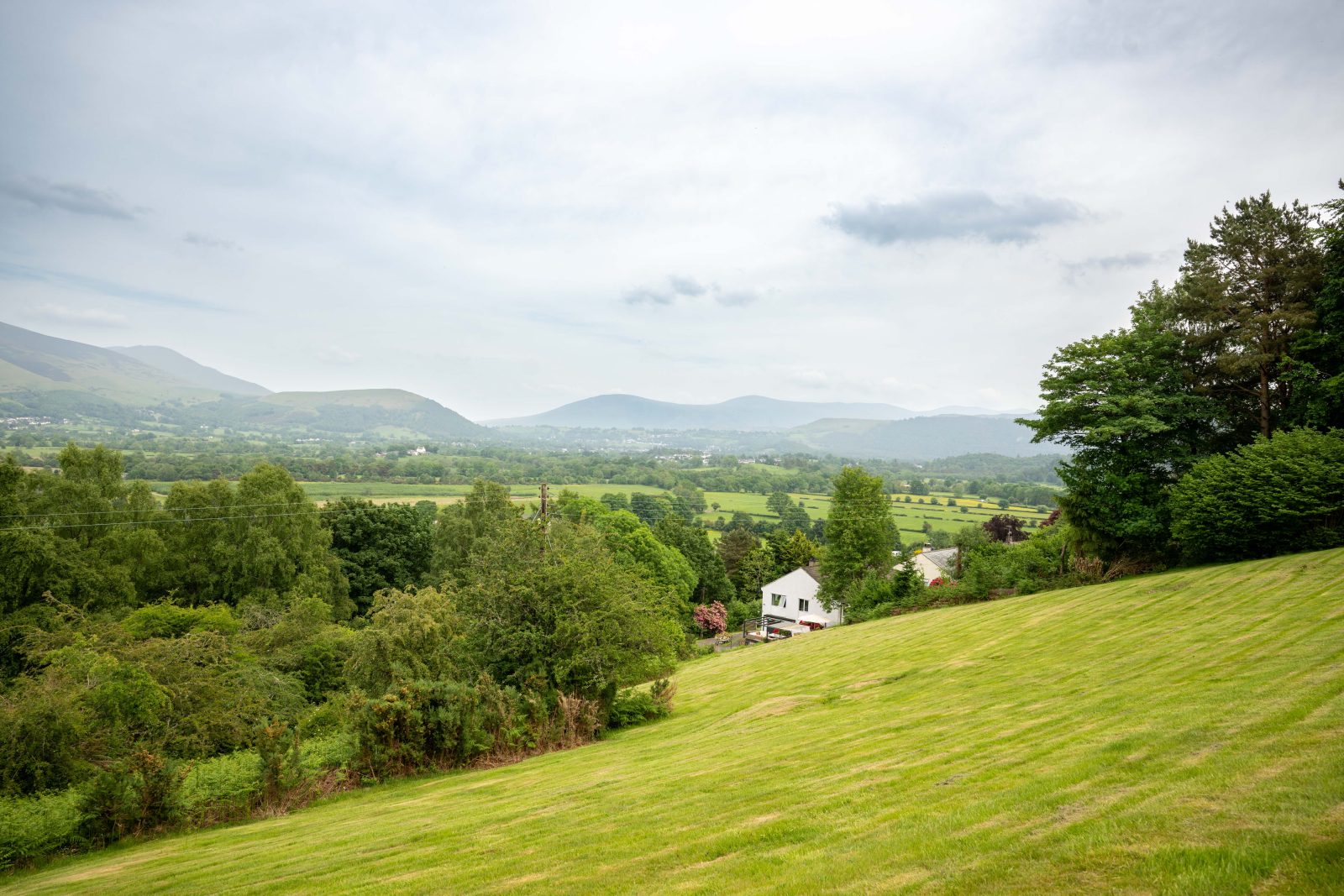 Wychwood