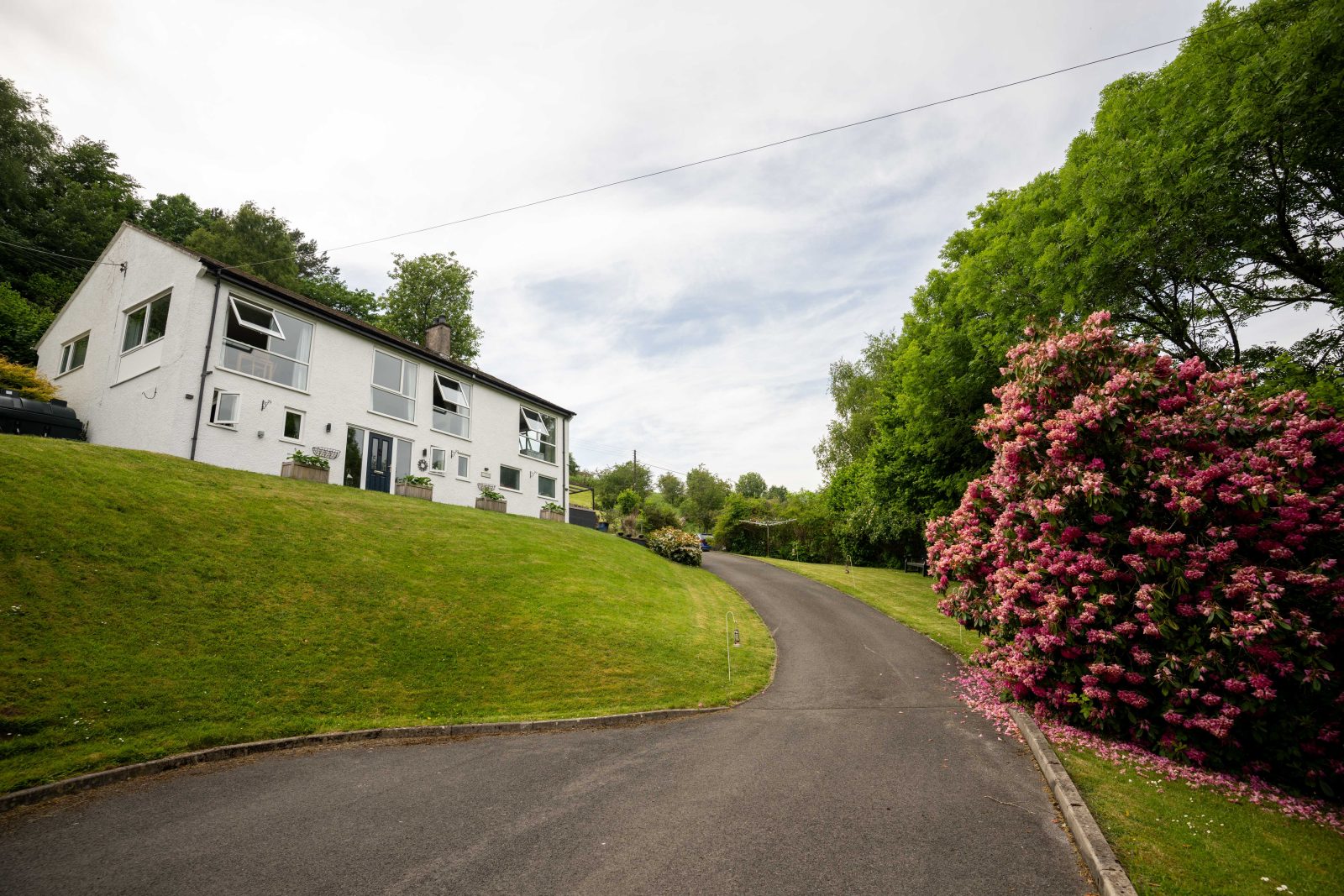 Wychwood - Image 5