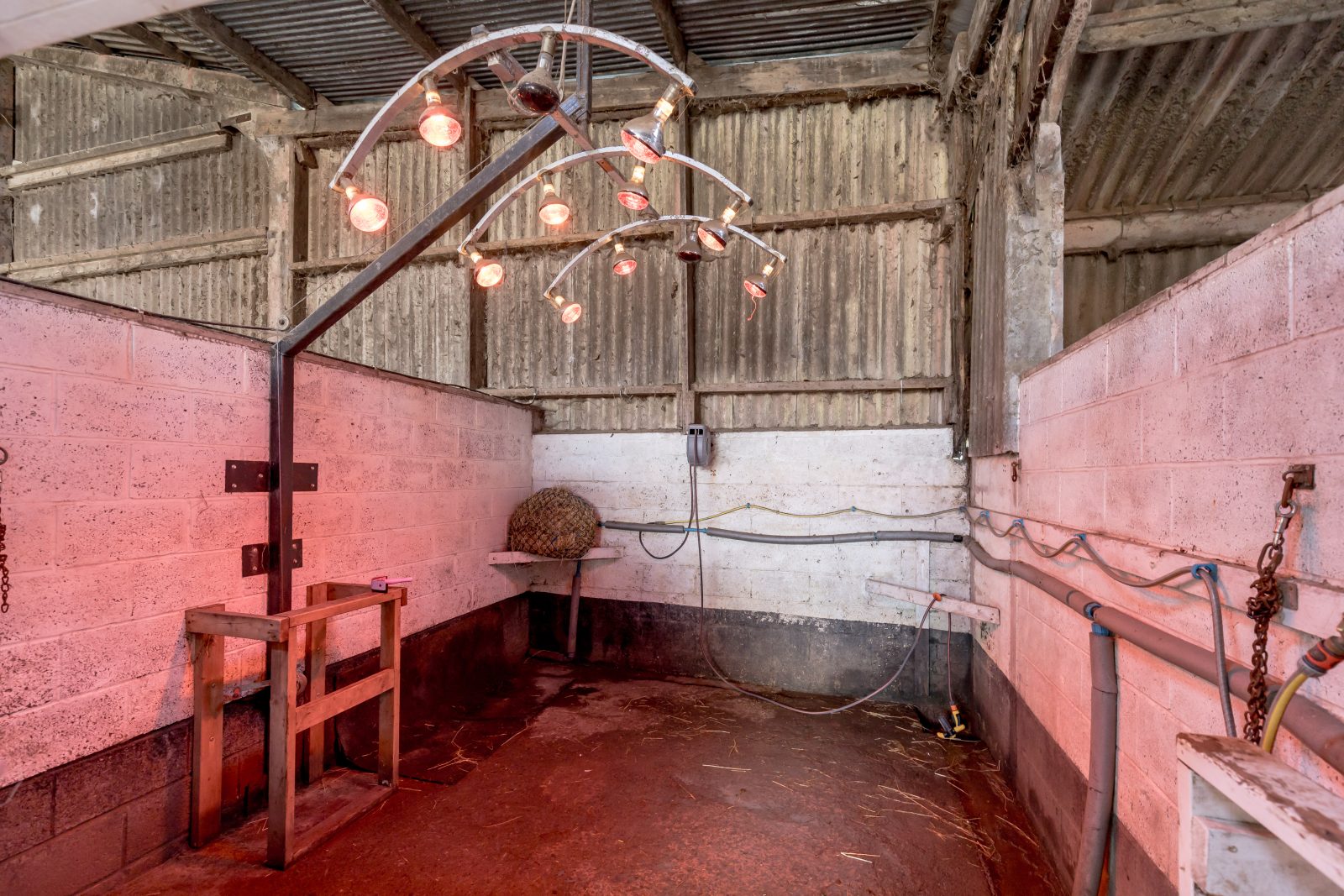Mountskip Farm - Image 41