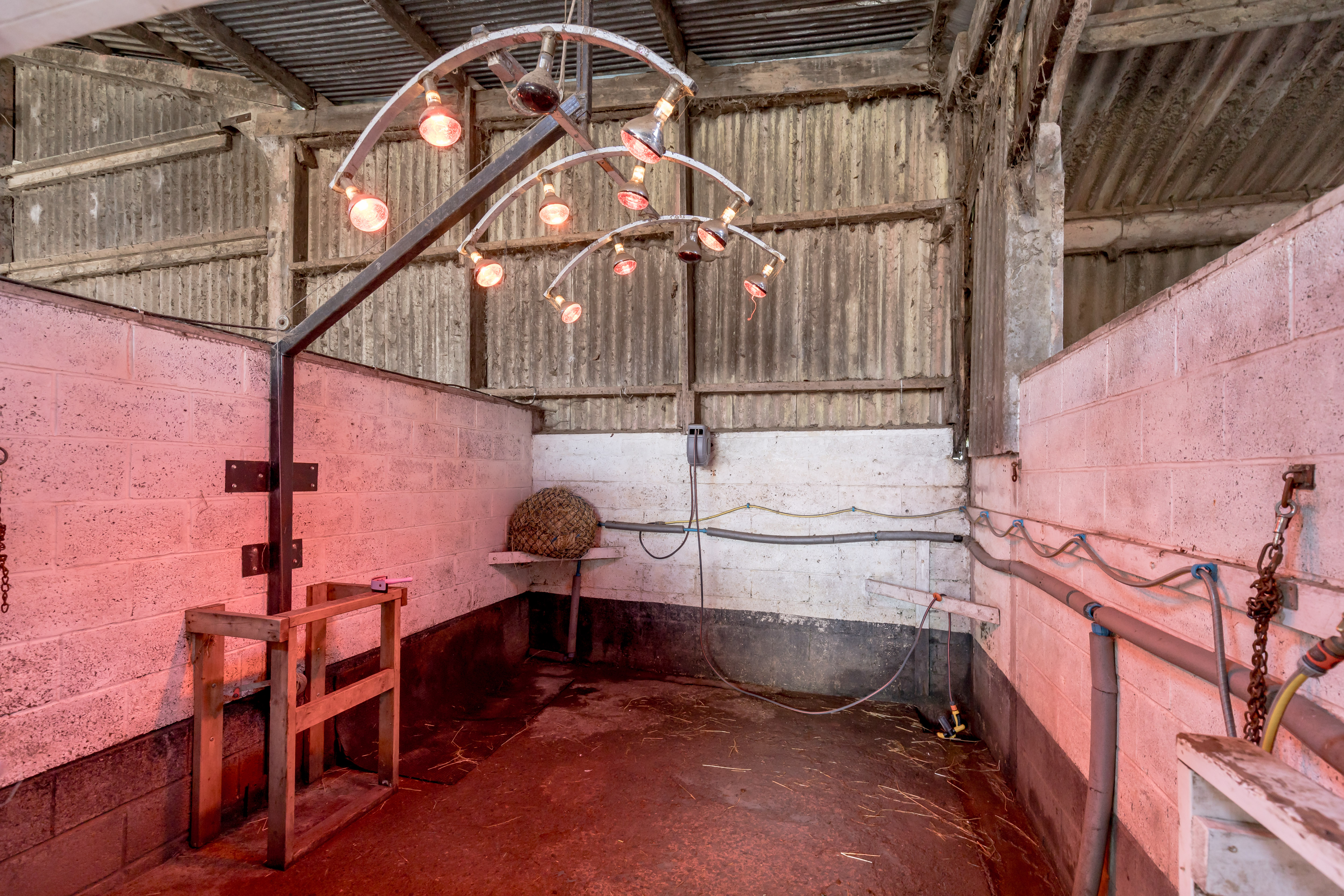 Mountskip Farm - Image 41