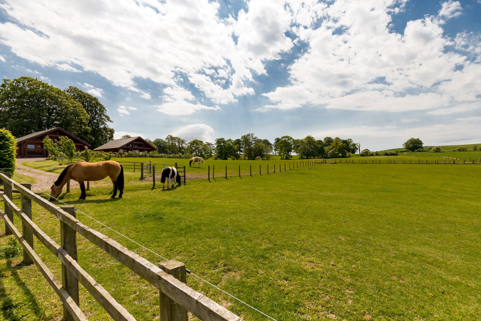 Mountskip Farm - Image 3