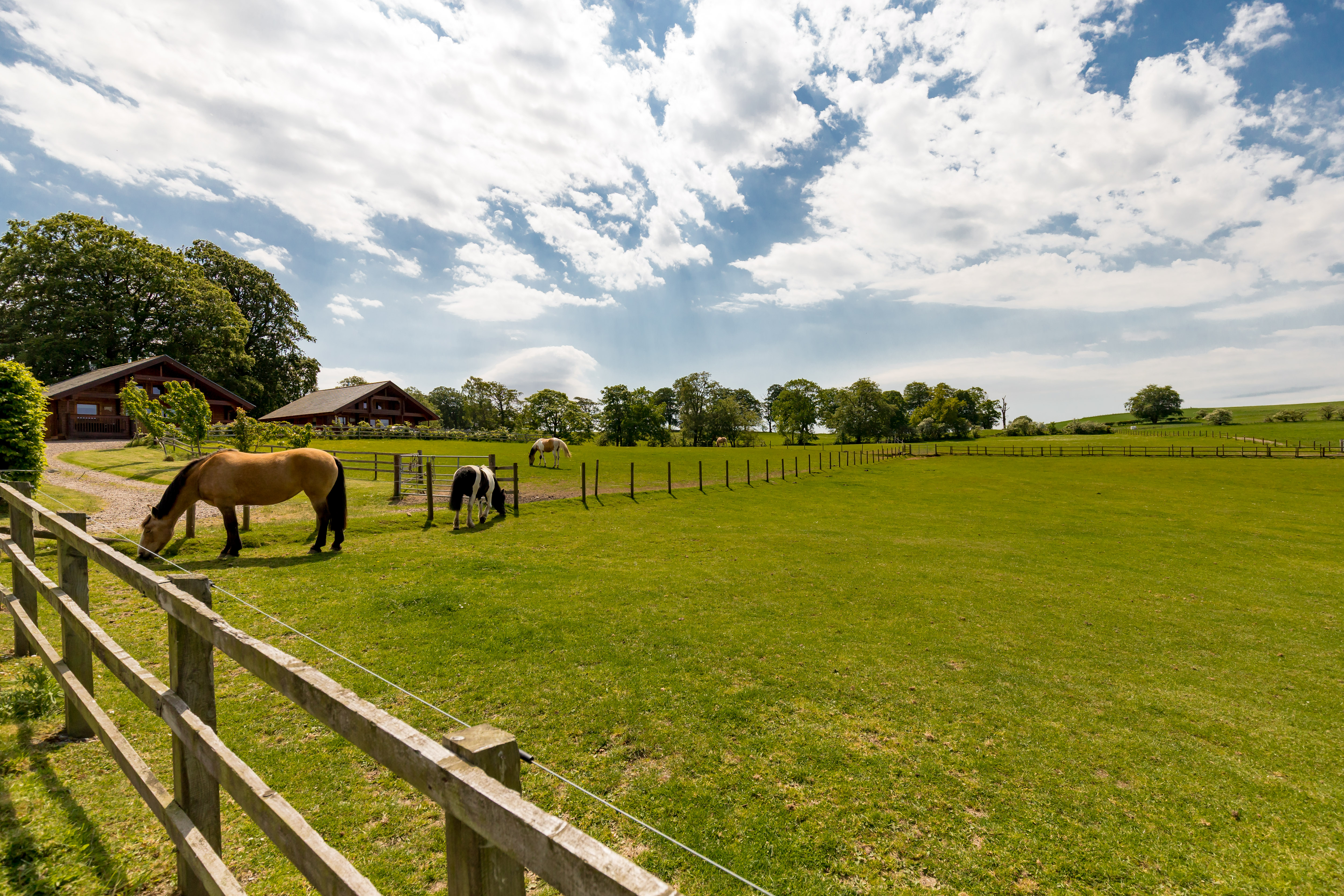 Mountskip Farm - Image 3
