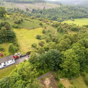 Wychwood for sale