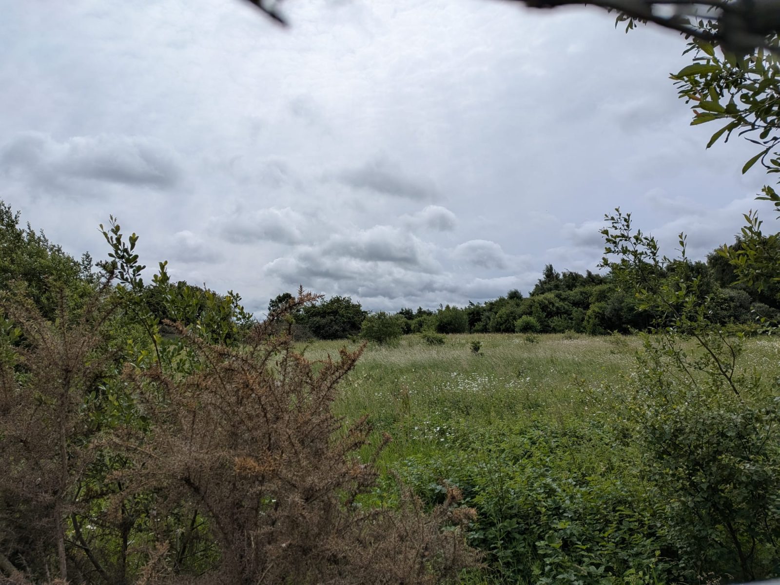 Development Land at Drumshoreland Road - Image 3