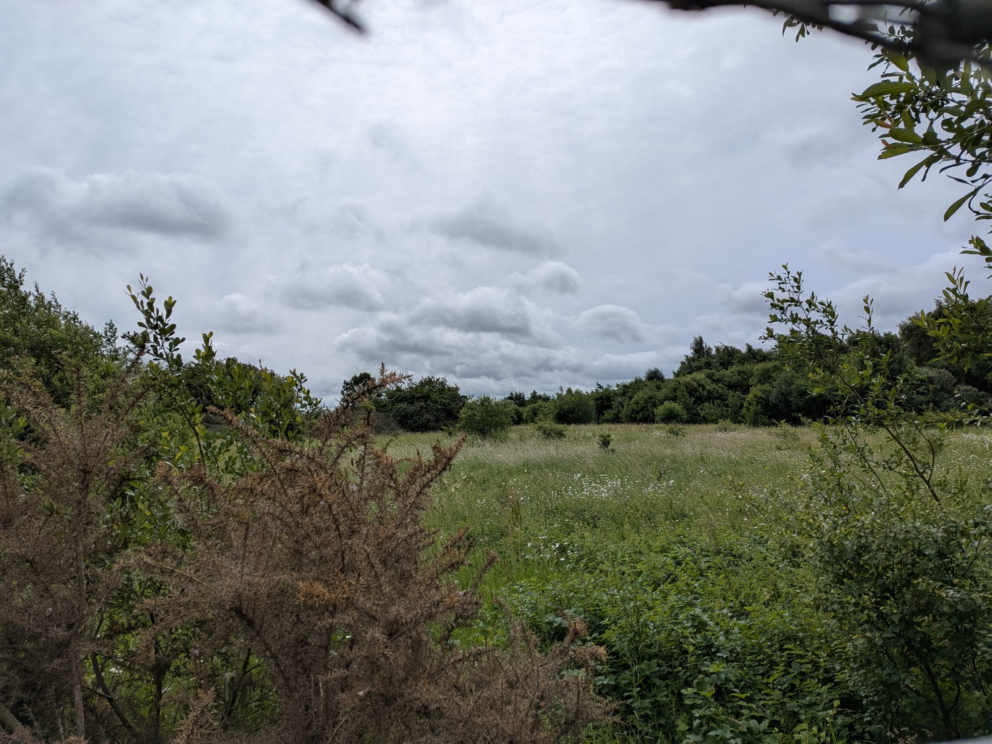 Development Land at Drumshoreland Road - Image 3