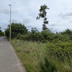 Alternative view of Development Land at Drumshoreland Road